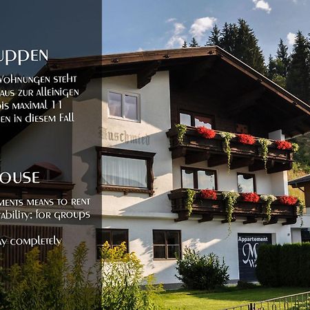 Ferienhaus Auschmiede Hollersbach im Pinzgau Luaran gambar