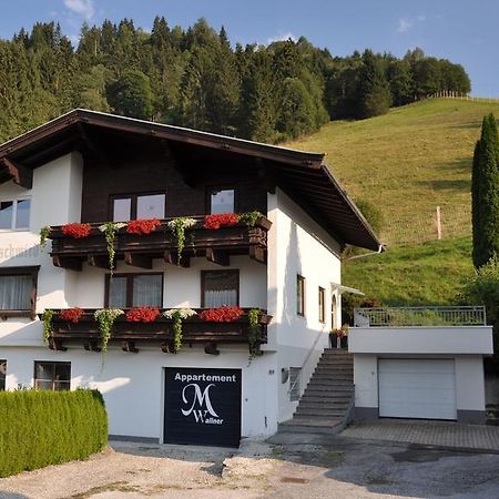 Ferienhaus Auschmiede Hollersbach im Pinzgau Luaran gambar