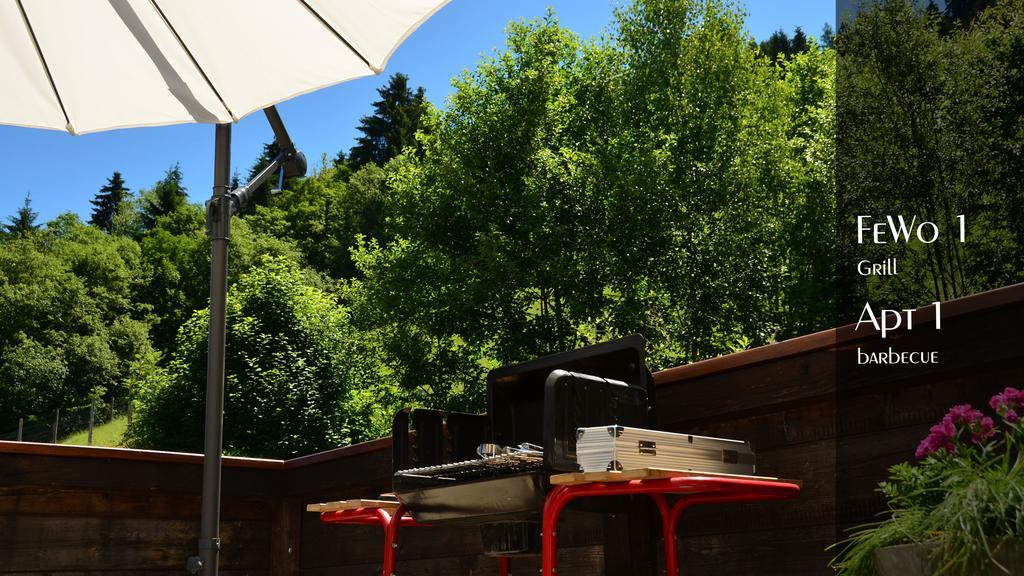 Ferienhaus Auschmiede Hollersbach im Pinzgau Luaran gambar